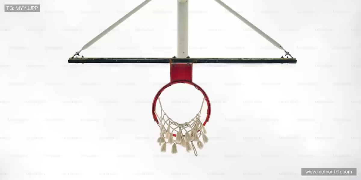 💻 多屏同看,精彩永不卡顿!